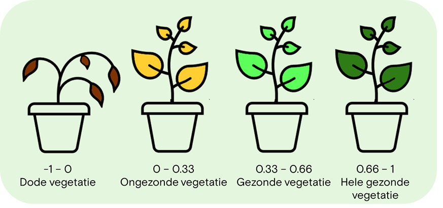 De Normalized Difference Vegetation Index (NDVI) is een index waarmee de mate van groen wordt weergegeven.