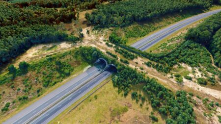 Digital twin IMAGEM over het verschil tussen geo-engines en game-engines