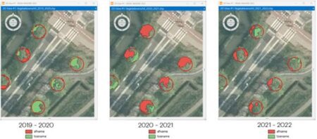 Analyse van bomen langs wegen met NDVI en satellietdata om risico’s voor verkeersveiligheid vroegtijdig te signaleren